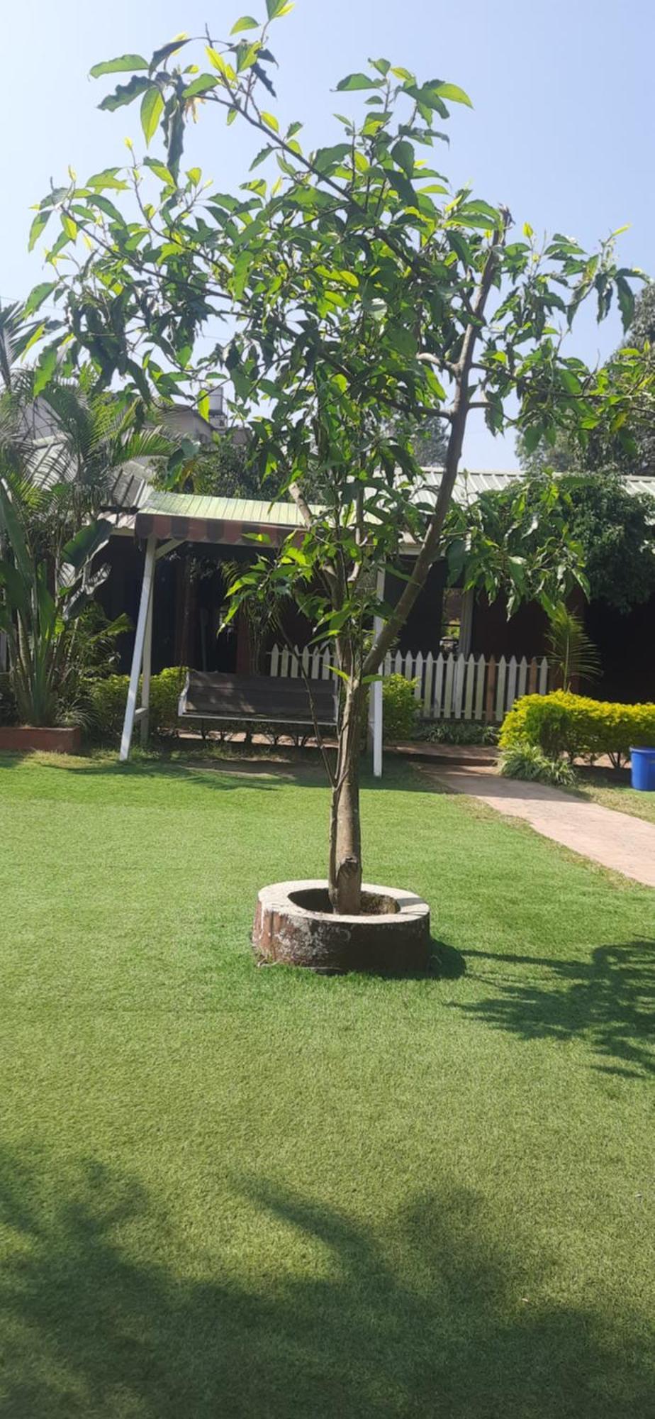 Hotel Oakwood Mahābaleshwar Εξωτερικό φωτογραφία